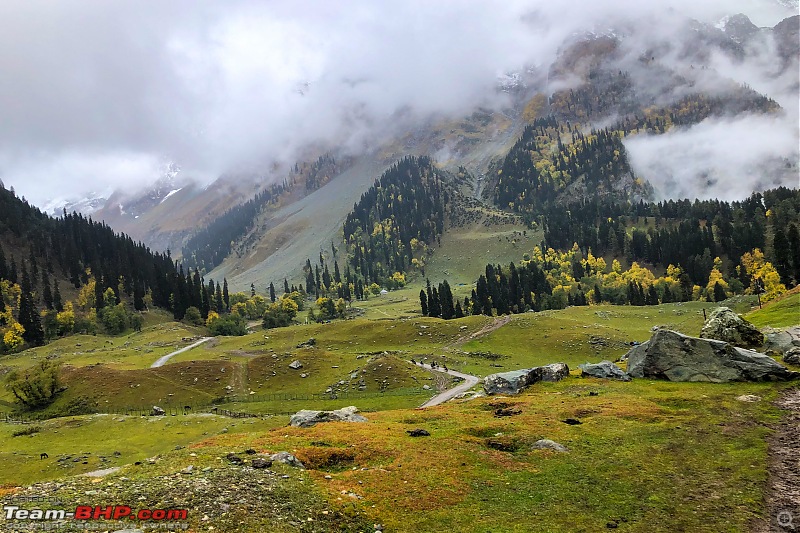 FALL in love with Kashmir | A 5500 km Innova Crysta venture from Kolkata-18.-landscape.jpg