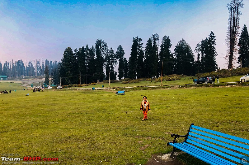 FALL in love with Kashmir | A 5500 km Innova Crysta venture from Kolkata-25.-meadow.jpg