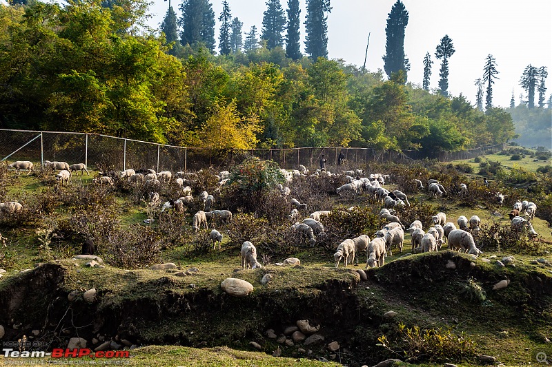 FALL in love with Kashmir | A 5500 km Innova Crysta venture from Kolkata-35.-bhera-distance.jpg