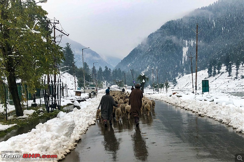 FALL in love with Kashmir | A 5500 km Innova Crysta venture from Kolkata-44.-bhera-closer.jpg