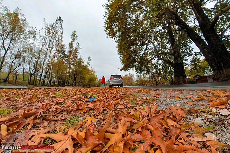 FALL in love with Kashmir | A 5500 km Innova Crysta venture from Kolkata-58.1-gari-fall.jpg