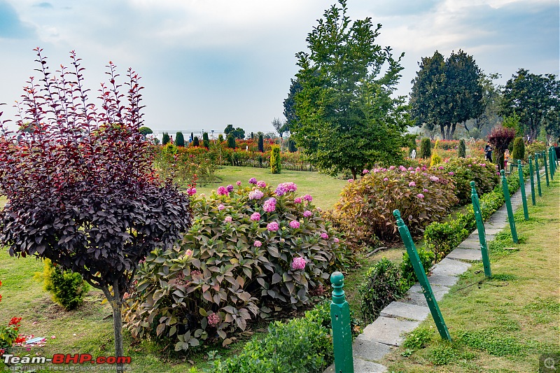 FALL in love with Kashmir | A 5500 km Innova Crysta venture from Kolkata-35.-shalimar-1.jpg