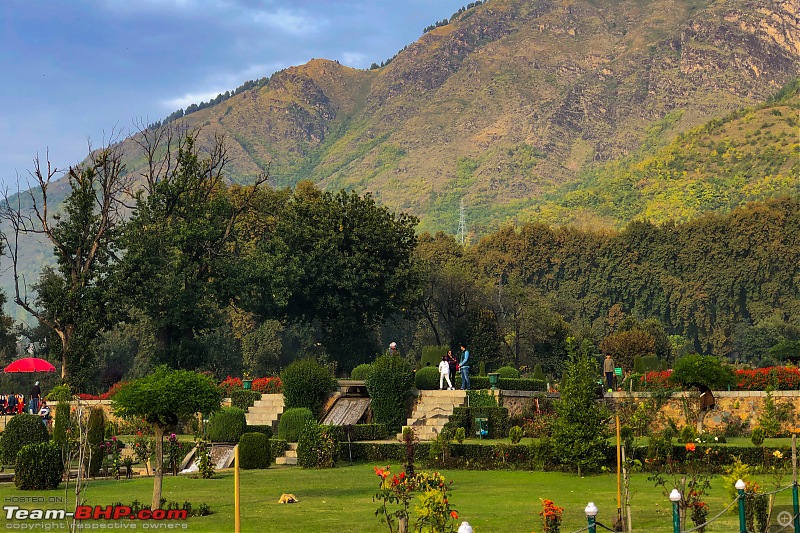 FALL in love with Kashmir | A 5500 km Innova Crysta venture from Kolkata-37.2-hill-back.jpg