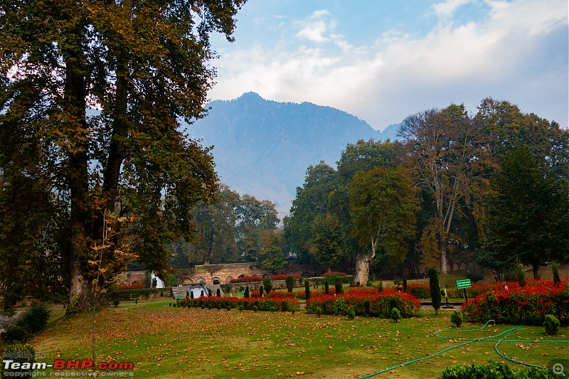 FALL in love with Kashmir | A 5500 km Innova Crysta venture from Kolkata-42.0-garden-hill-sback.jpg