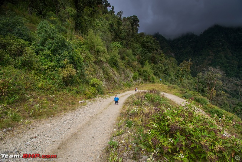 Drive to Shergaon, Arunachal Pradesh-dsc_02742.jpg