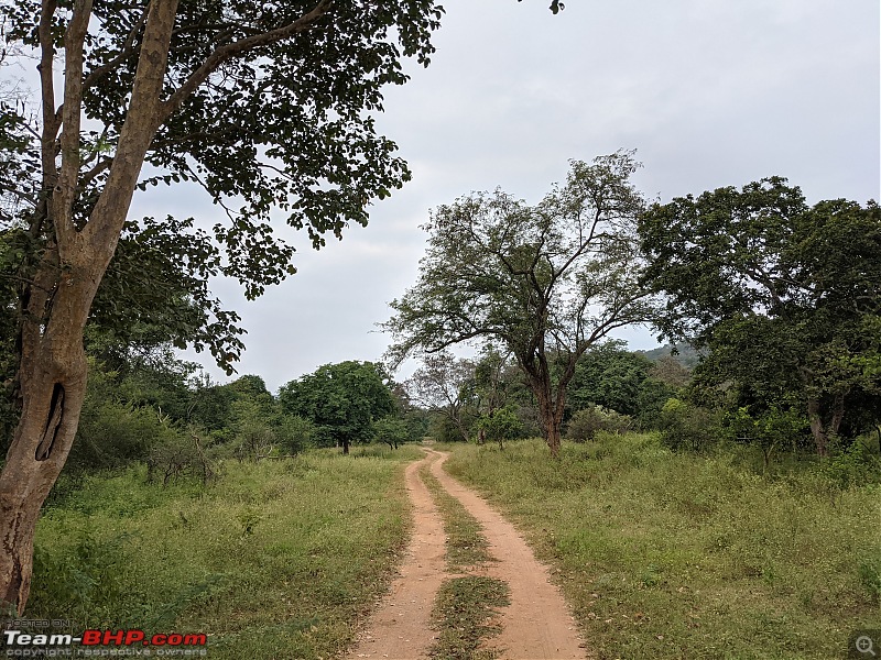 Trip to Galibore Nature Camp, Jungle Lodges-pxl_20211231_023405303.jpg