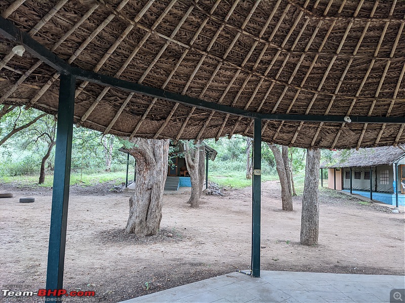 Trip to Galibore Nature Camp, Jungle Lodges-pxl_20211231_031753303.jpg