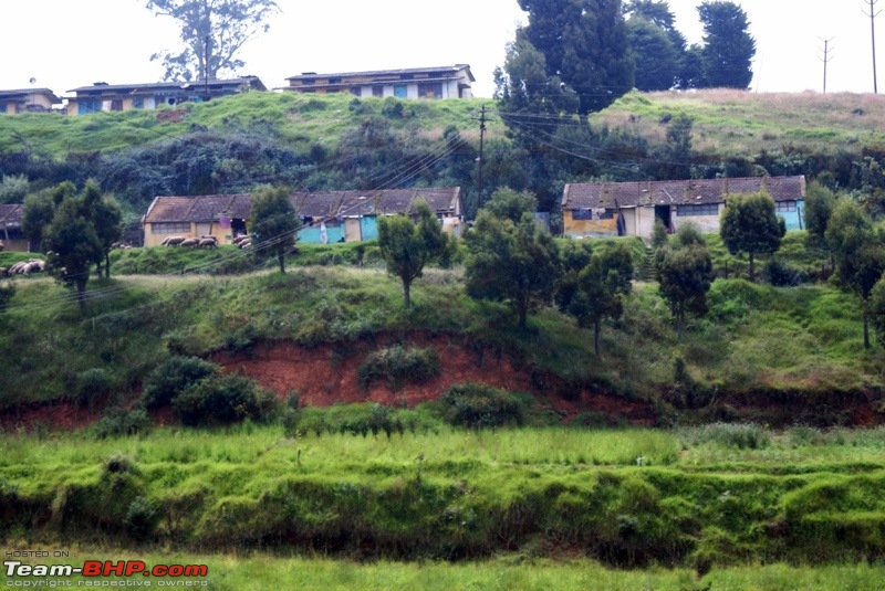 An incredible road trip to Velankanni, Kodaikanal and Ooty-e-small-houses-enroute.jpg