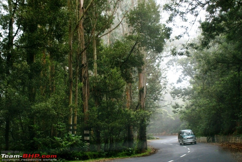 An incredible road trip to Velankanni, Kodaikanal and Ooty-g-beautiful-roads_misty.jpg