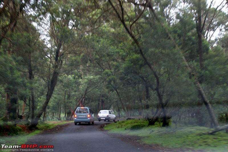 An incredible road trip to Velankanni, Kodaikanal and Ooty-j-way-masinagudi.jpg
