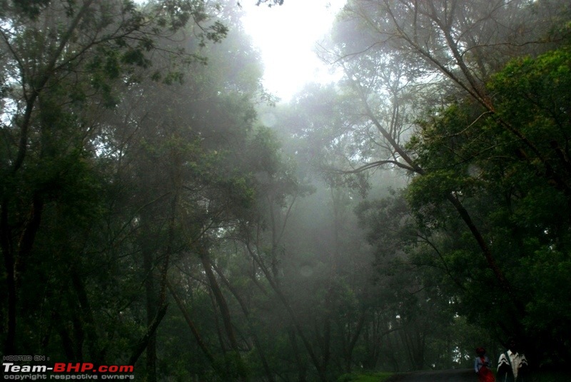 An incredible road trip to Velankanni, Kodaikanal and Ooty-n-heavy-fog-about-descend.jpg