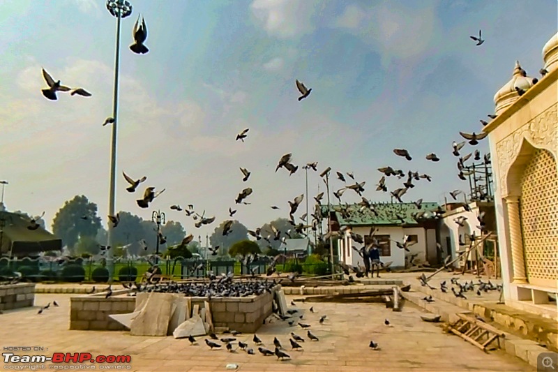 FALL in love with Kashmir | A 5500 km Innova Crysta venture from Kolkata-02.-hb-birds.jpg