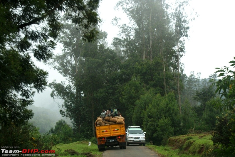 An incredible road trip to Velankanni, Kodaikanal and Ooty-p-way-masinagudi_very-narrow-road.jpg