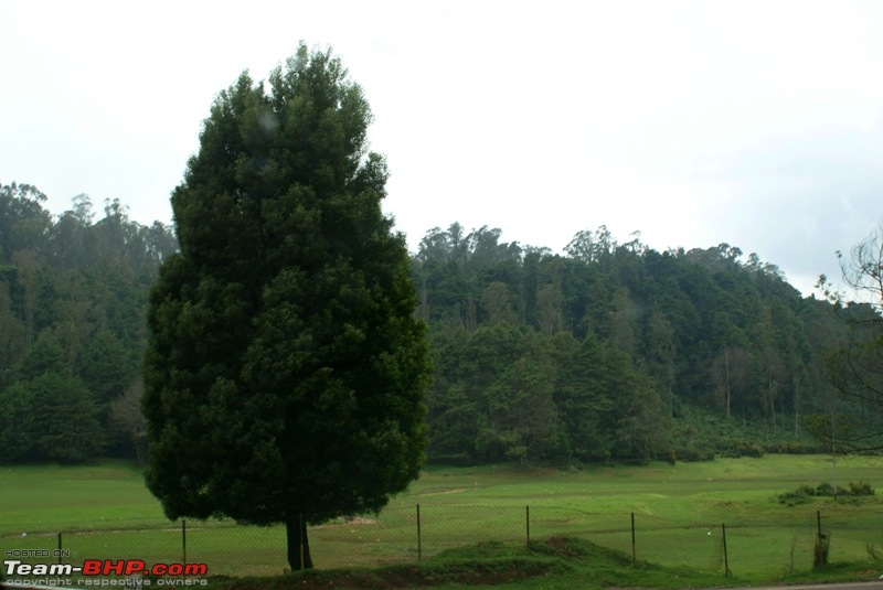 An incredible road trip to Velankanni, Kodaikanal and Ooty-q-scenery_enroute-pykara.jpg