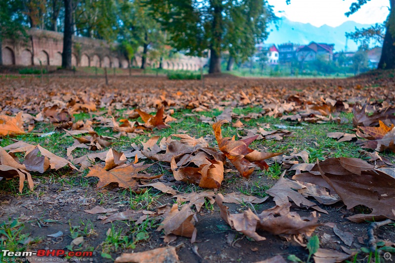 FALL in love with Kashmir | A 5500 km Innova Crysta venture from Kolkata-39.jpg