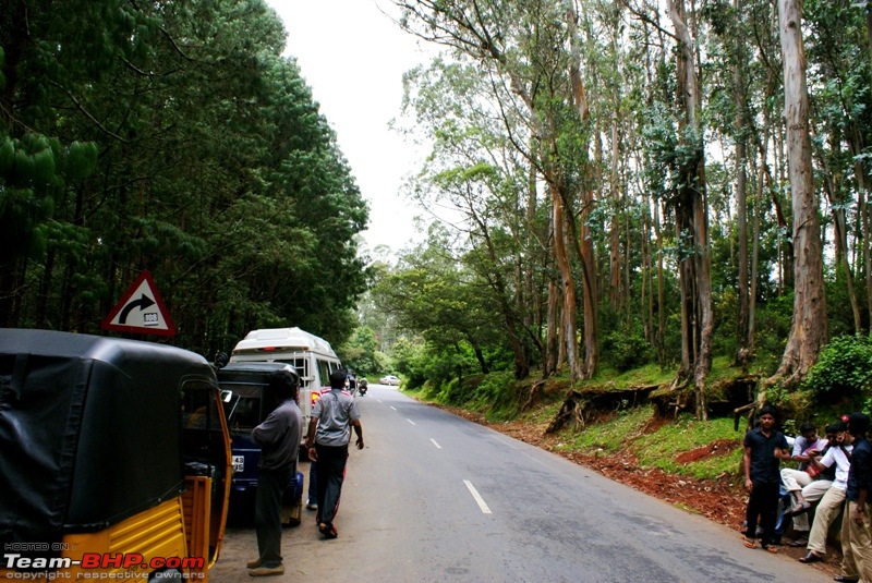 An incredible road trip to Velankanni, Kodaikanal and Ooty-c-parking-near-pine-forest.jpg