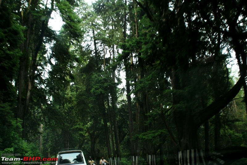 An incredible road trip to Velankanni, Kodaikanal and Ooty-j-way-back-ooty.jpg