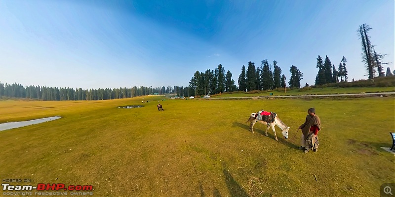 FALL in love with Kashmir | A 5500 km Innova Crysta venture from Kolkata-31.-meadow-horse.jpg