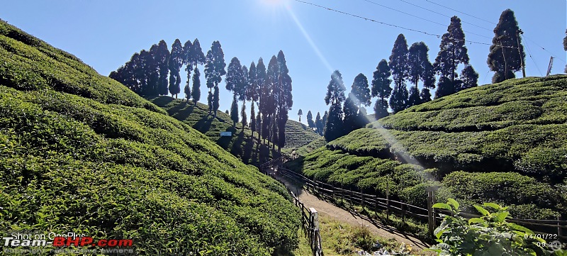 Ending 2021 with a Trip to the Mountains | Sikkim, where nature smiles & Darjeeling, queen of hills-img_20220104_092907.jpg