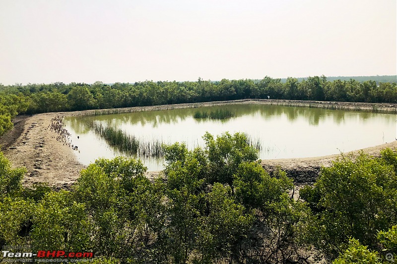 A short weekend drive to Jhorkhali, Sunderban in an Innova Crysta-38.1.jpg