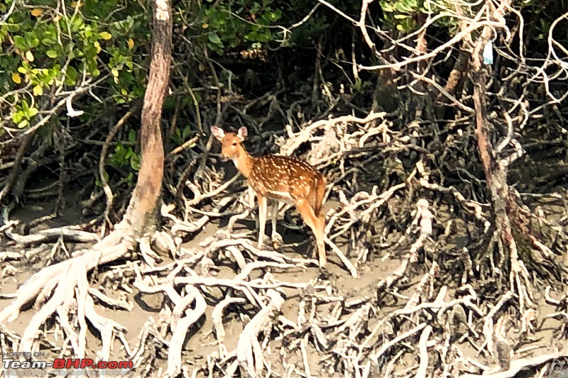 A short weekend drive to Jhorkhali, Sunderban in an Innova Crysta-44.jpg