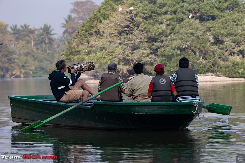 Weekend drive to Ranganathittu Bird Sanctuary and Lalitha Mahal Palace Hotel-robi-action.jpg