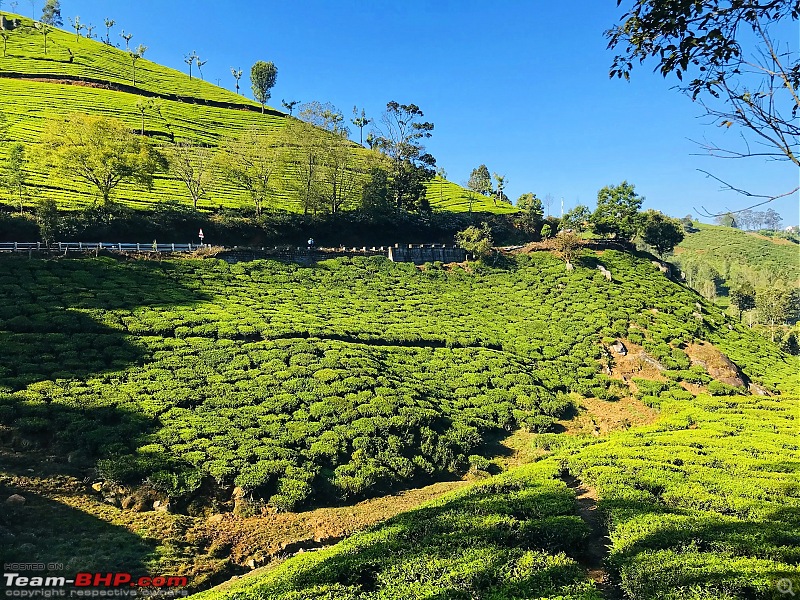 Drive & Ride to Ooty - Photolog-46.jpeg