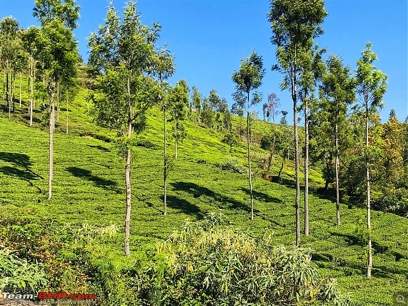 Drive & Ride to Ooty - Photolog-50.jpeg