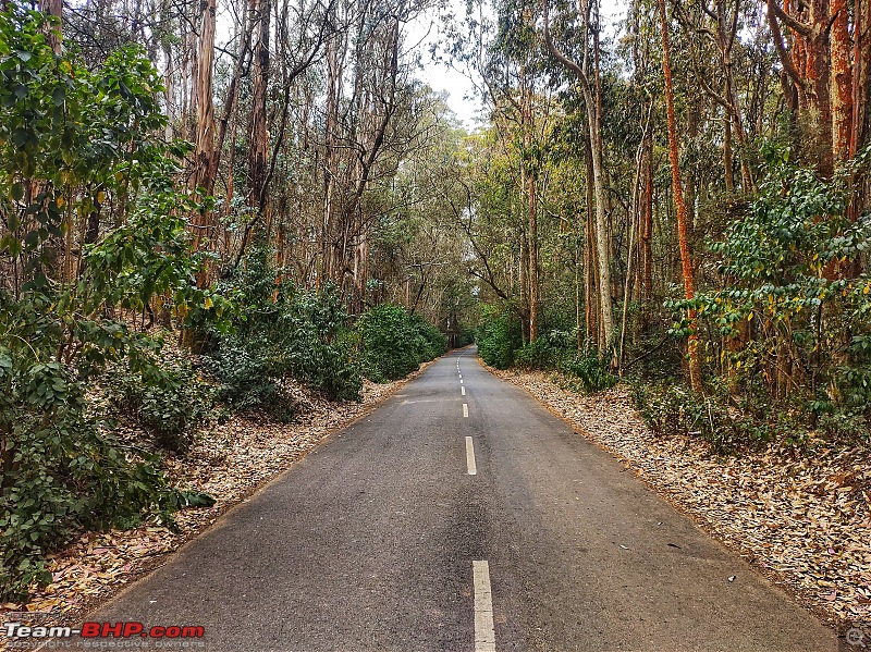 Drive & Ride to Ooty - Photolog-82.jpeg