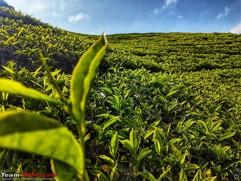 Drive & Ride to Ooty - Photolog-93.jpeg