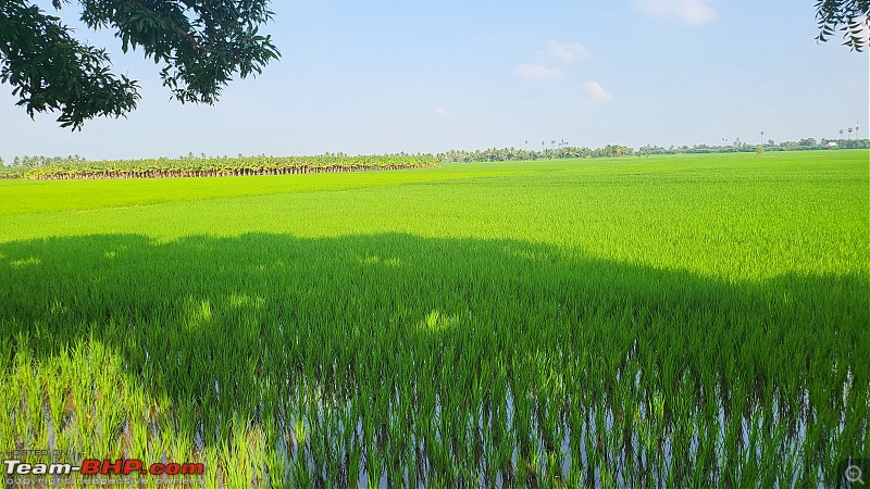 A 1,700 km tour of Tirunelveli, Alleppey and Munnar-20211226_091826.jpg