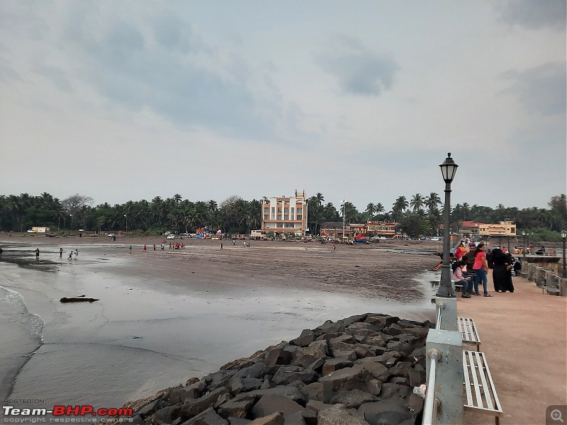 Pune to Ratnagiri - Chasing the warrior-hotel-sea-fans.jpg