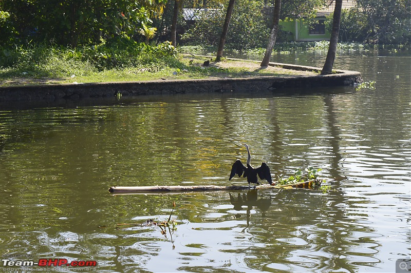 A 1,700 km tour of Tirunelveli, Alleppey and Munnar-_dsc0059.jpg