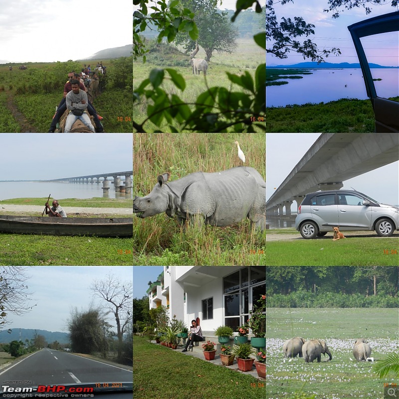 Driving to the Longest Bridge in India | 1400 kilometres across Assam in my Little City Hatch-collage-2.jpeg