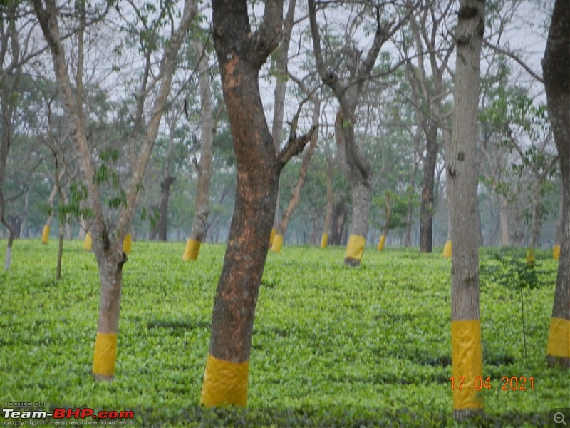 Driving to the Longest Bridge in India | 1400 kilometres across Assam in my Little City Hatch-dscn1213.jpg