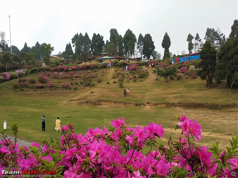 Kolkata to Kalimpong to Gurudongmar Lake-31_delo.jpg