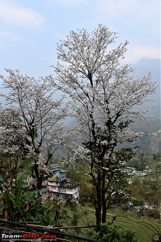 Kolkata to Kalimpong to Gurudongmar Lake-35_mangan.jpg