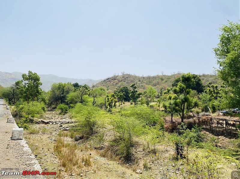 3 days in Jawai and Bera | The less explored Jungle abode in Rajasthan-ee4f3743f27a4dbf92860dd3d41c9bc1.jpeg