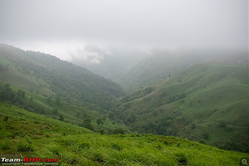 A Car, a Thar and a Tea Estate | Our weekend drive to Kadamane Tea Estate, KA-dsc_1626.jpg