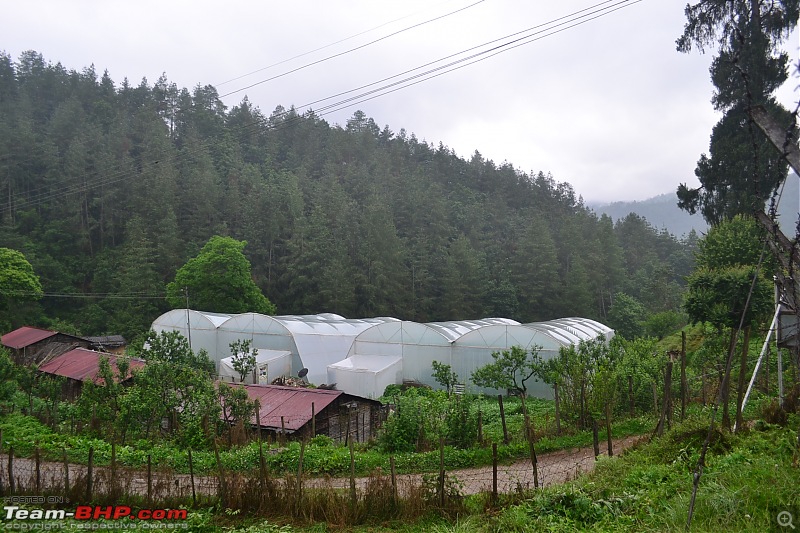 Summer Vacation in the Land of the Rising Sun - Arunachal Pradesh-d5-11.jpg