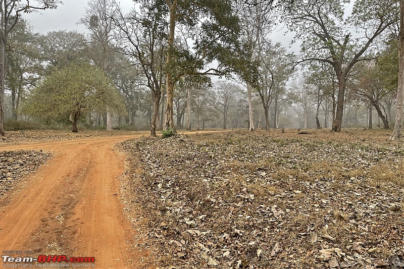 Kabini - After a wait of 10 long years-img_4991.jpg