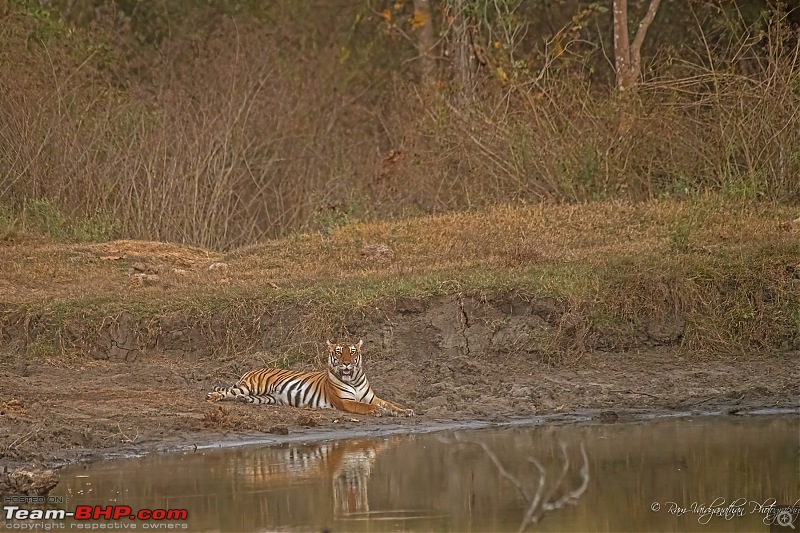 Kabini - After a wait of 10 long years-dsc_65542.jpg