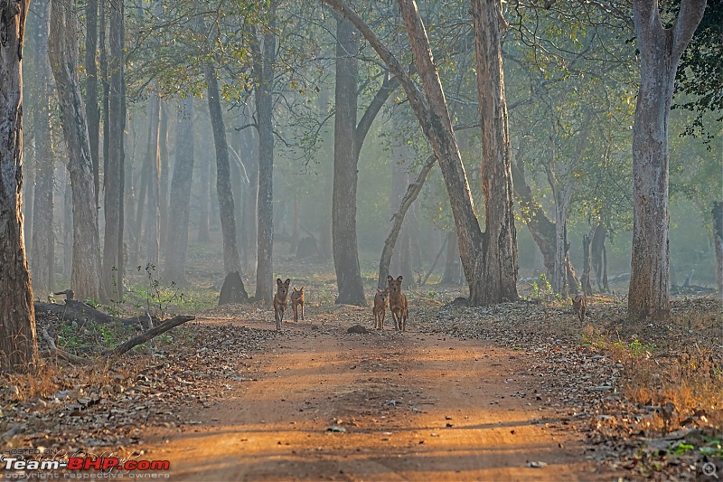 Kabini - After a wait of 10 long years-dsc_67932.jpg