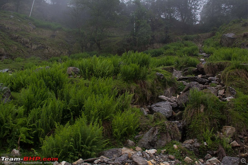 Uttarakhand : Tracing the rivers-img_2397.jpg