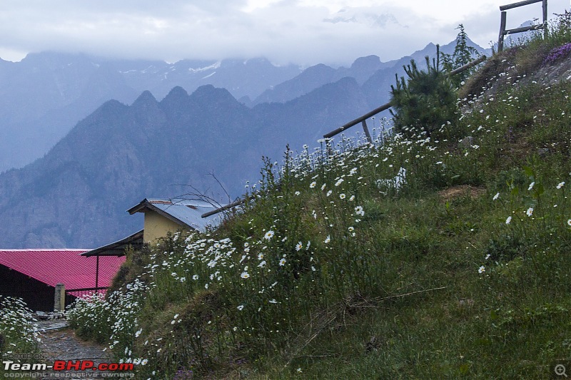 Uttarakhand : Tracing the rivers-img_2034.jpg