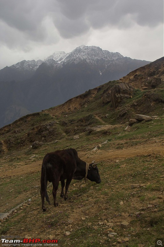 Uttarakhand : Tracing the rivers-img_2151.jpg