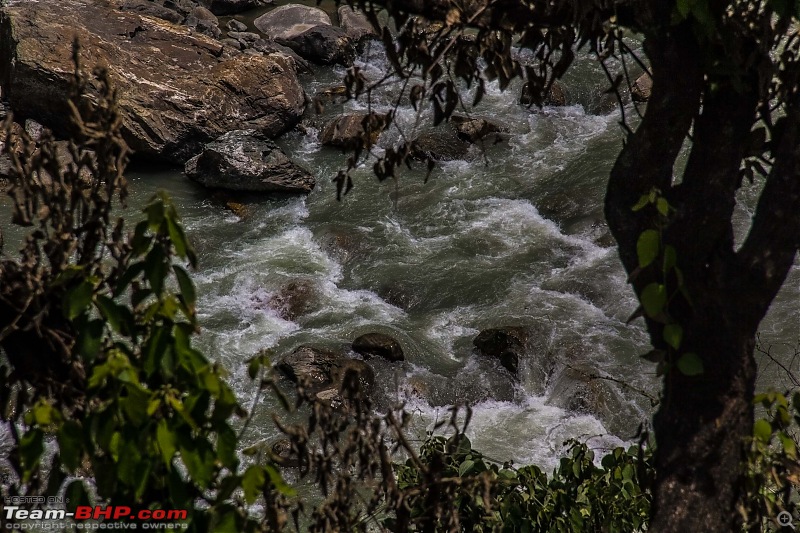 Uttarakhand : Tracing the rivers-img_2230.jpg