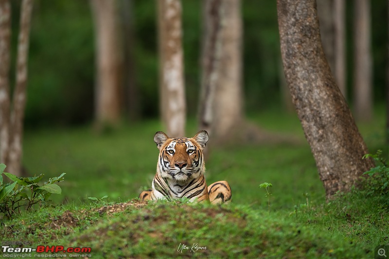 Kabini Monsoon Chronicles!-05-temple-female-mound.jpg