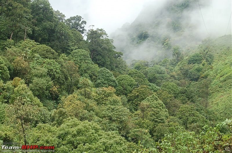 Chasing the summer showers around Theni and Thekkady-dsc_0260.jpg