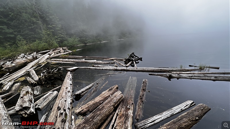 Hiking in Washington - A healthy & beautiful way to enjoy nature!-img_4128.jpg